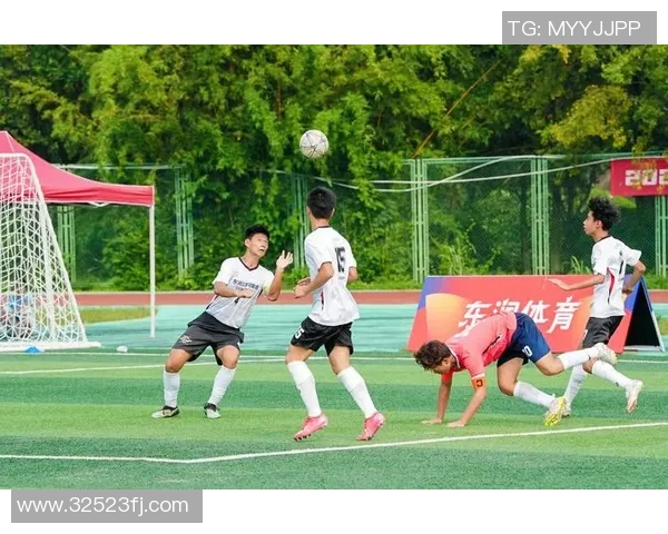 成都足球队荣登全国足球比赛经验排行榜第七位引发热议